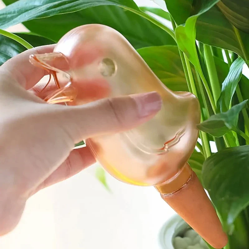 عالية الجودة التلقائي زهرة سقي - مراجعة Self Watering Insert وسعره