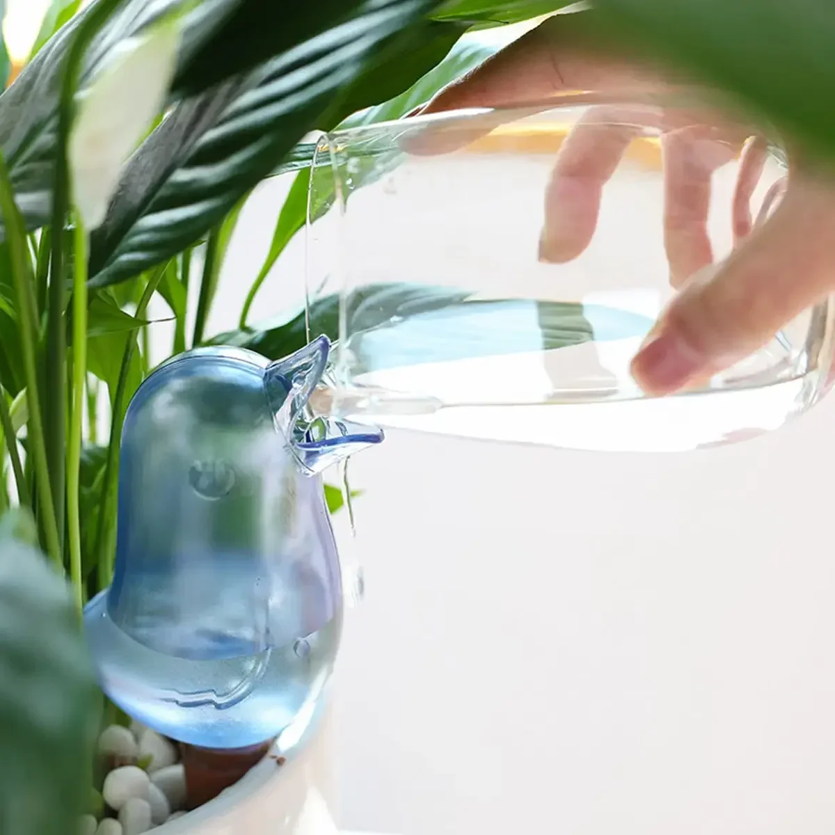 عالية الجودة التلقائي زهرة سقي - مراجعة Self Watering Insert وسعره