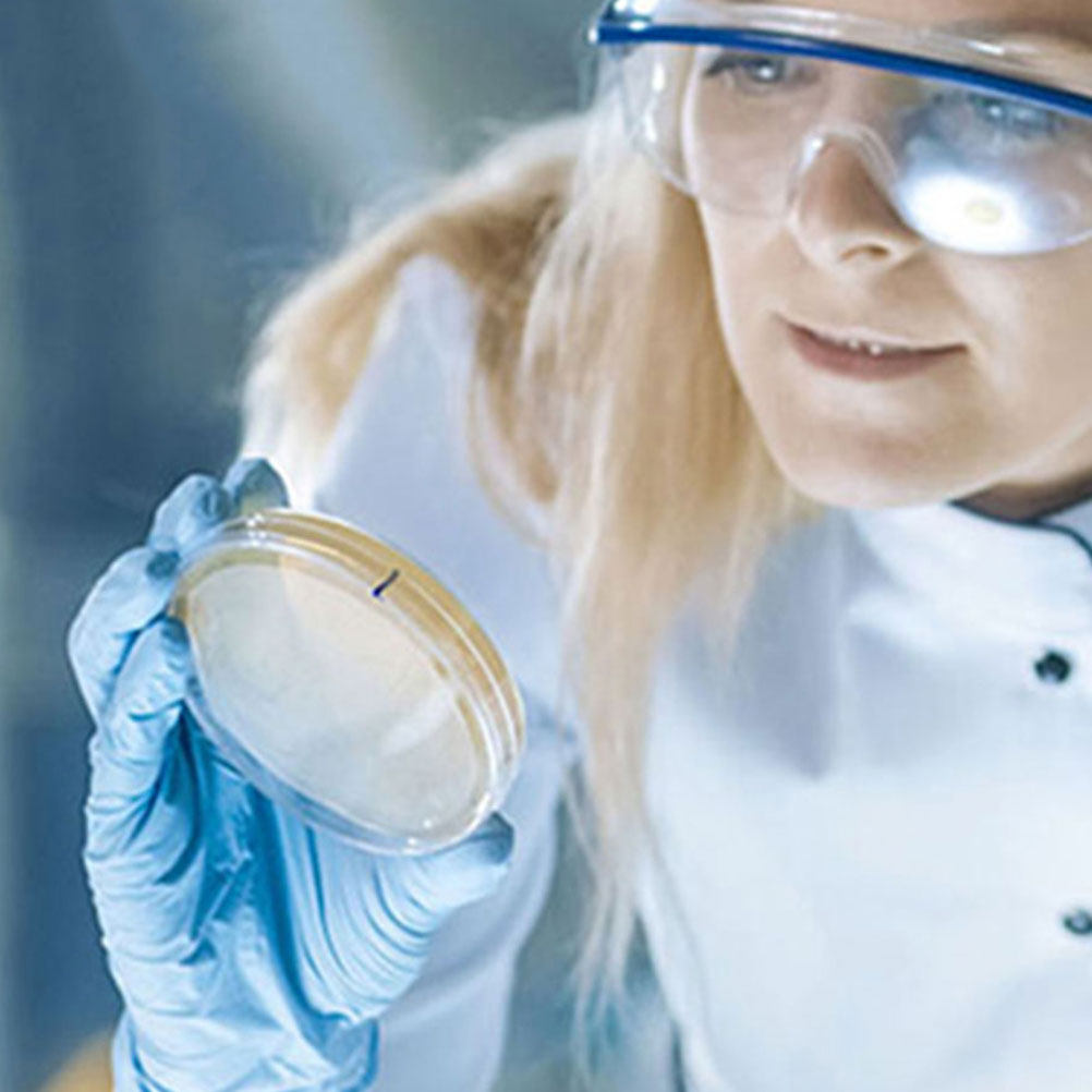 10 قطع أطباق بتري بلاستيكية شف - مراجعة Agar Tissue Culture وسعره