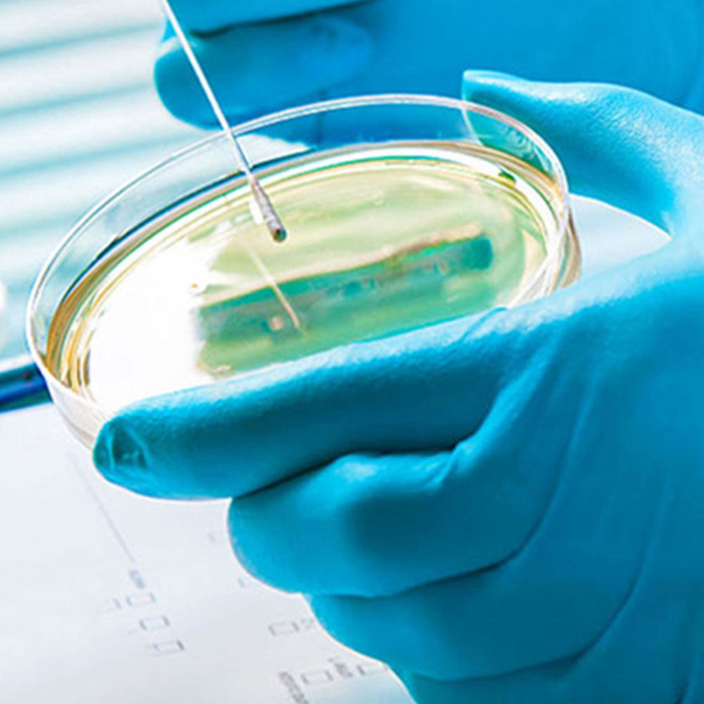 10 قطع أطباق بتري بلاستيكية شف - مراجعة Agar Tissue Culture وسعره