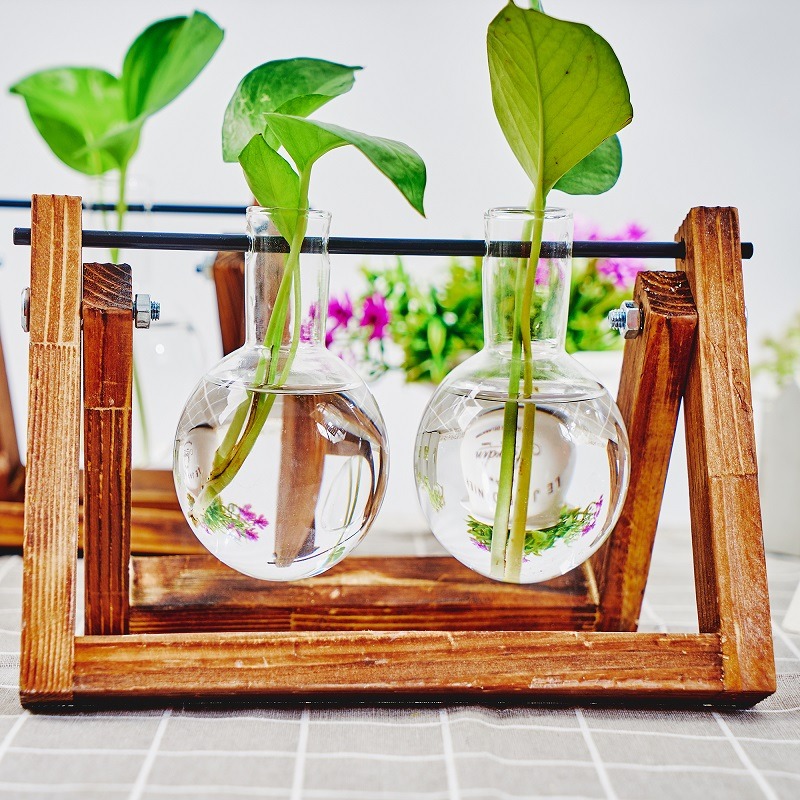 منضدية زجاج زارع محطة انتشار ا - مراجعة Propagation Station Vase وسعره
