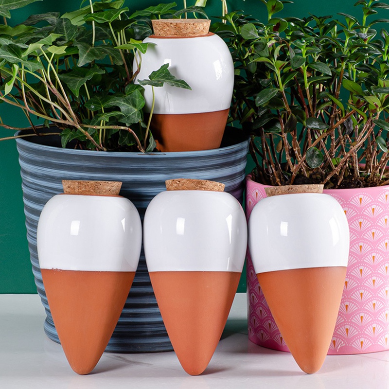 كرة سقي من نبات التراكوتا ، عل - مراجعة Self Watering Insert وسعره