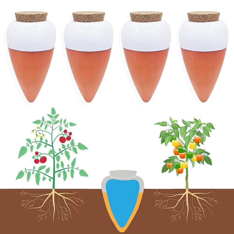 كرة سقي من نبات التراكوتا ، عل - مراجعة Self Watering Insert وسعره